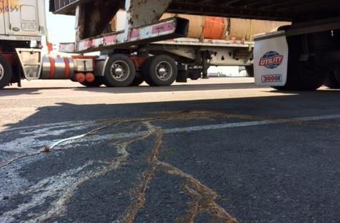 Απαγωγή φορτίου με τόνους κοτόπουλα παίρνει αηδιαστική τροπή